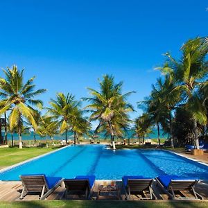 Pousada Praia Das Ondas - Pe Na Areia